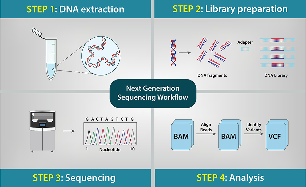 DNA 提取